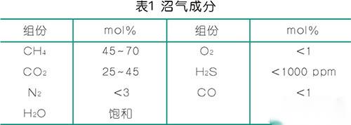 喷油螺杆压缩机沼气增压领域的应用